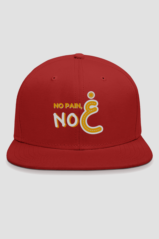 No Pain No Gain Embroidery Snapback Cap